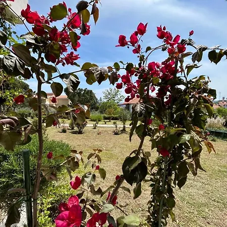 Apartamento Mari E Monti PalaiónTsiflíkion